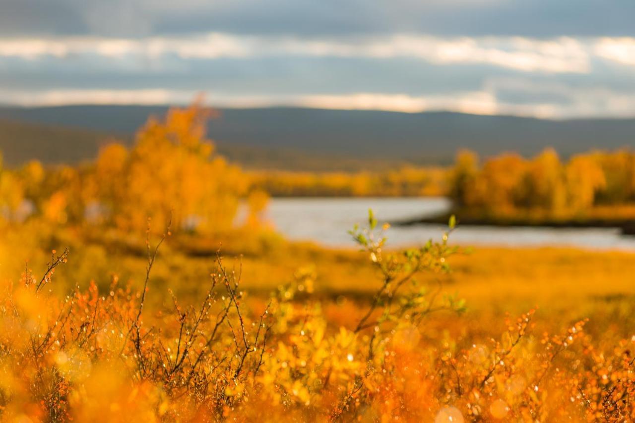 Arctic Gourmet Cabin Kiruna Luaran gambar