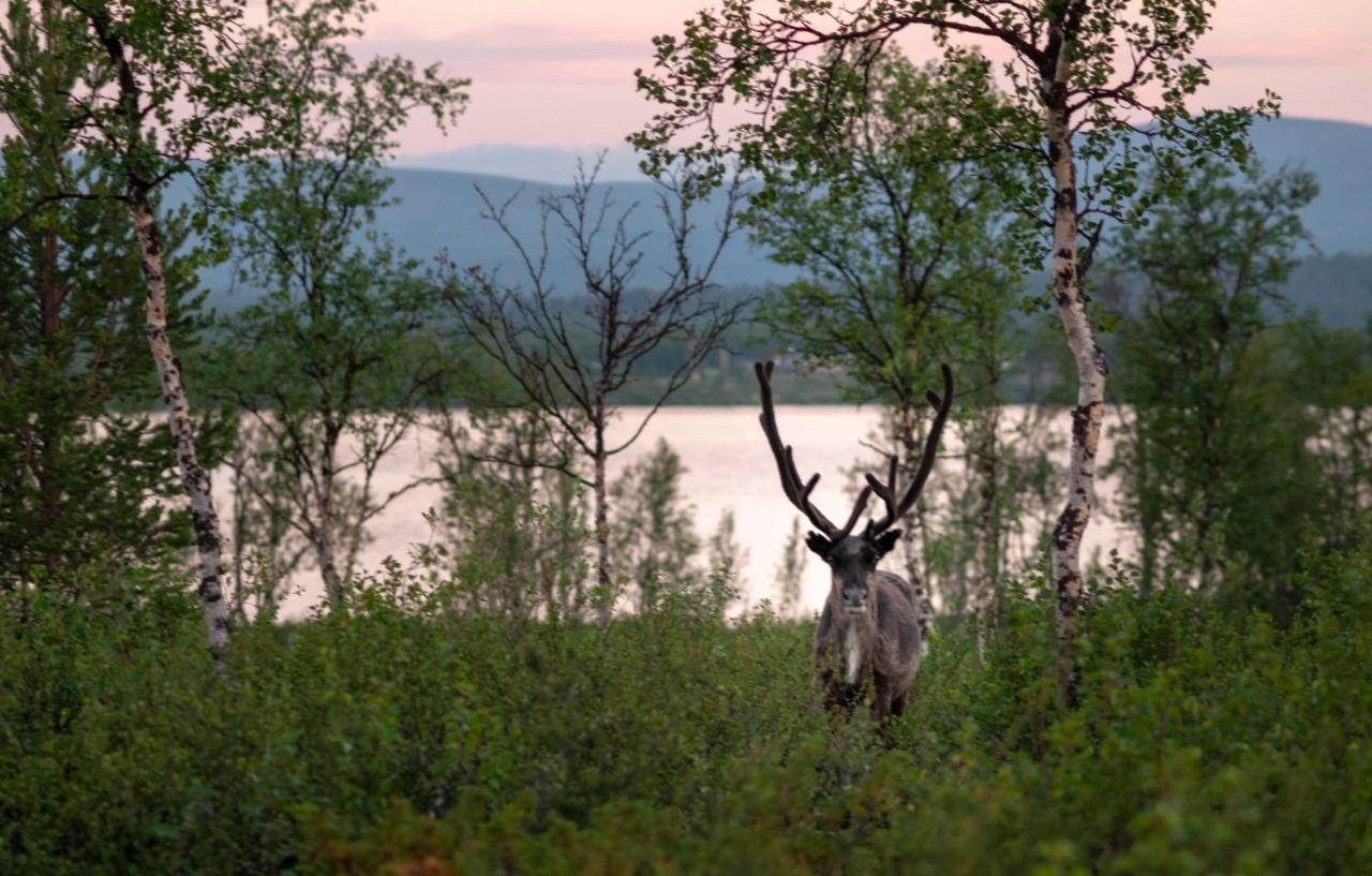 Arctic Gourmet Cabin Kiruna Luaran gambar